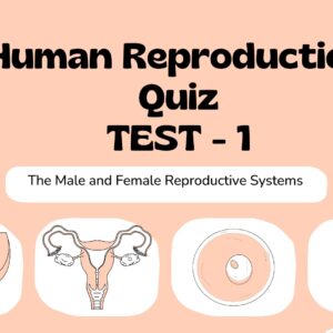 Human Reproduction Quiz