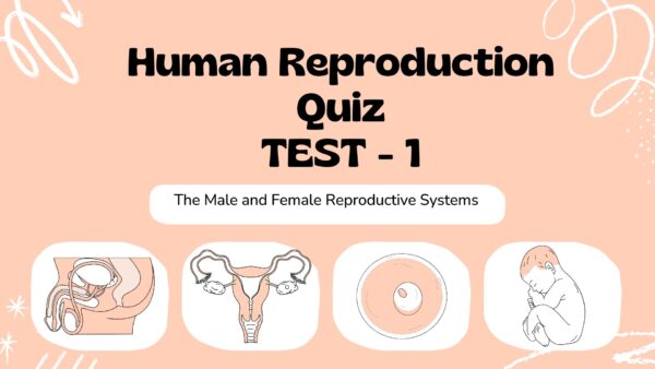 Human Reproduction Quiz